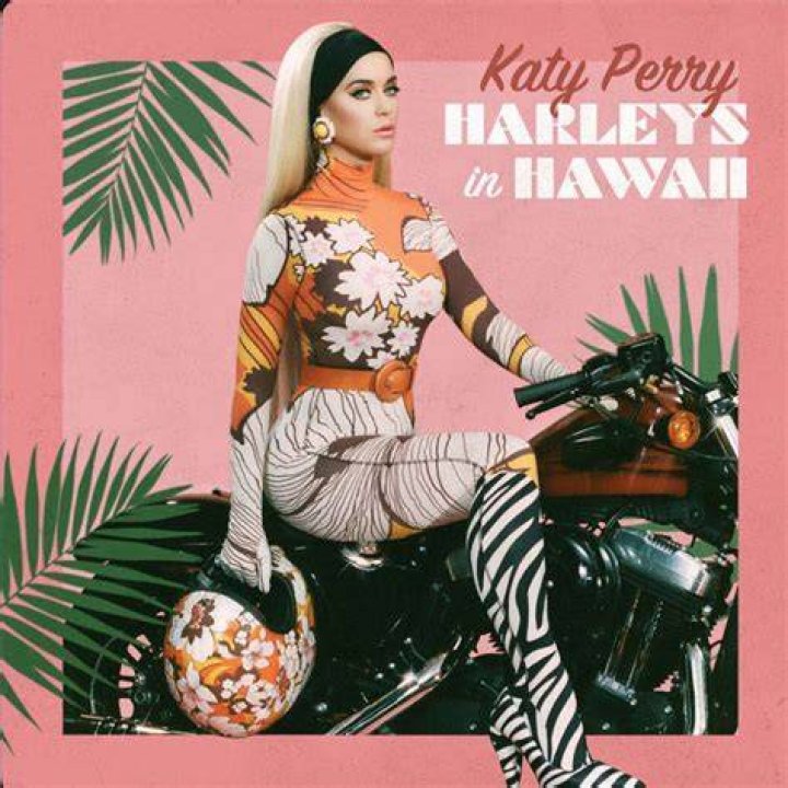 Katy Perry In Hawaii