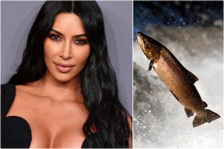 kim-kardashian-salmon-jumper-april-7-ftr