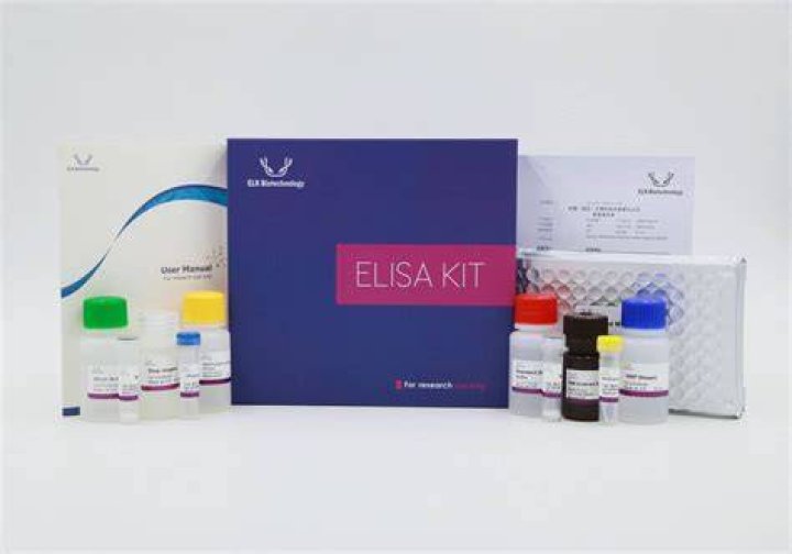 kit