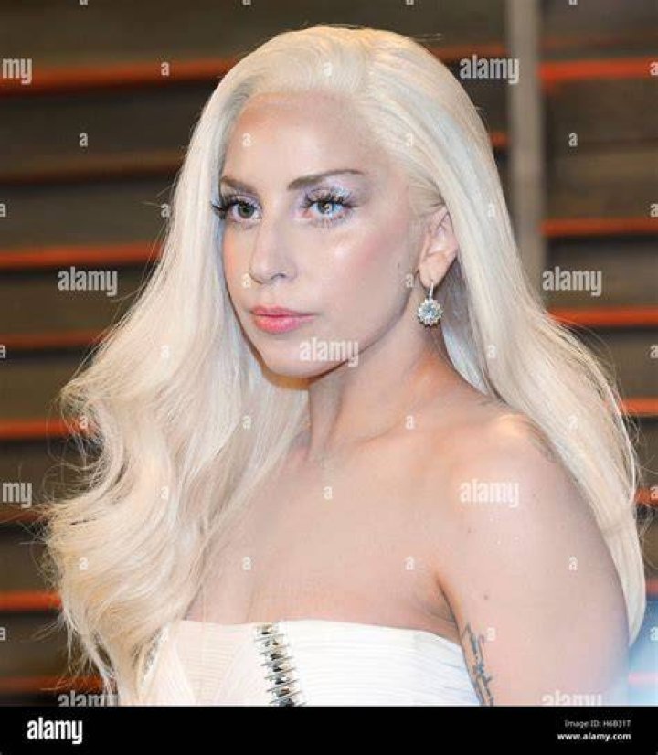 Lady Gaga In 2014