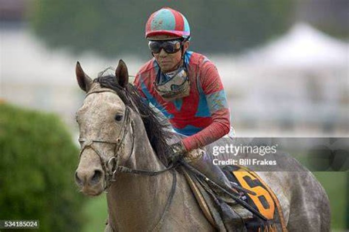 lani-preakness-2016