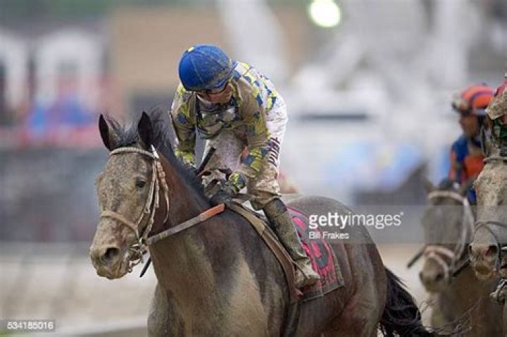 laoban-the-preakness-stakes-2016