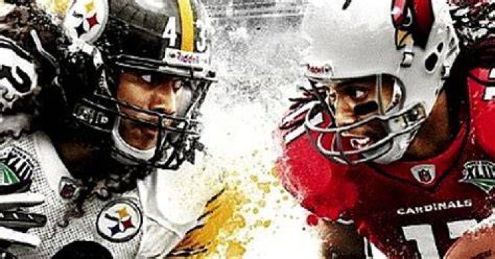 madden-10-troy-polamalu-larry-fitzgerald-NFL-Stars-Hit-By-video-Game-Jinx