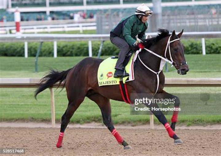 Majesto-kentucky-derby
