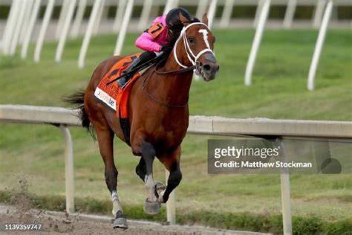 Maximum Security ridden by Luis Saez 145th running of the Kentucky Derby, Churchill Downs, Louisville, Kentucky, USA - 04 May 2019