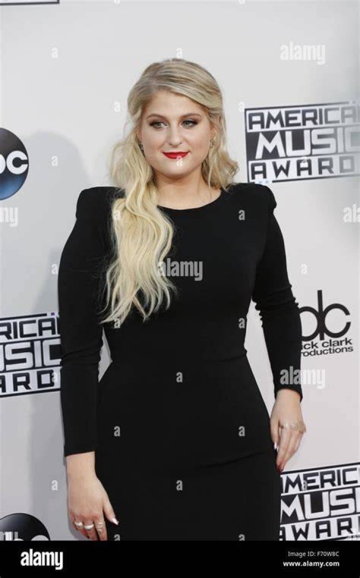 meghan-trainor-amas-2015-american-music-awards