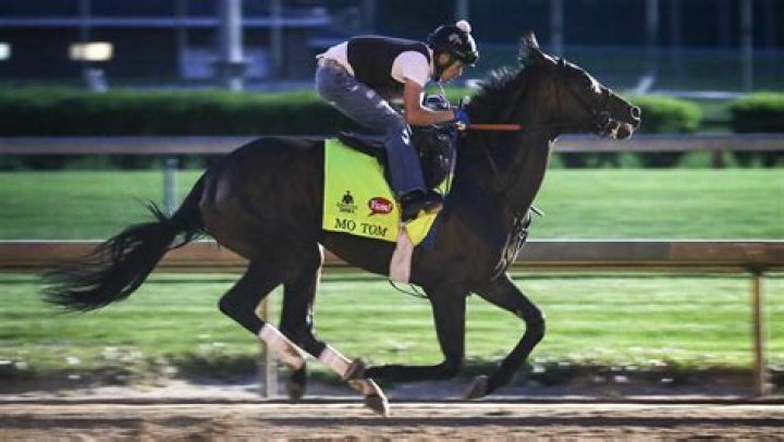 Mo-Tom-kentucky-derby
