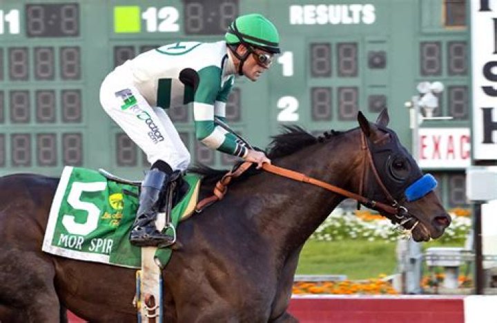 Mor-Spirit-kentucky-derby
