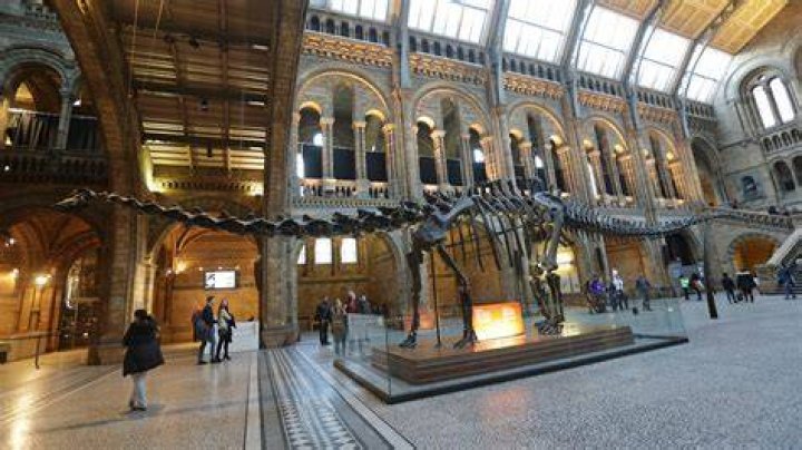 National History Museum in London