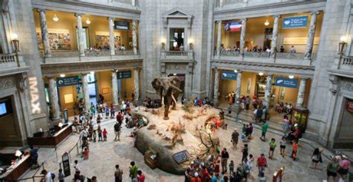 Natural History Museum incident