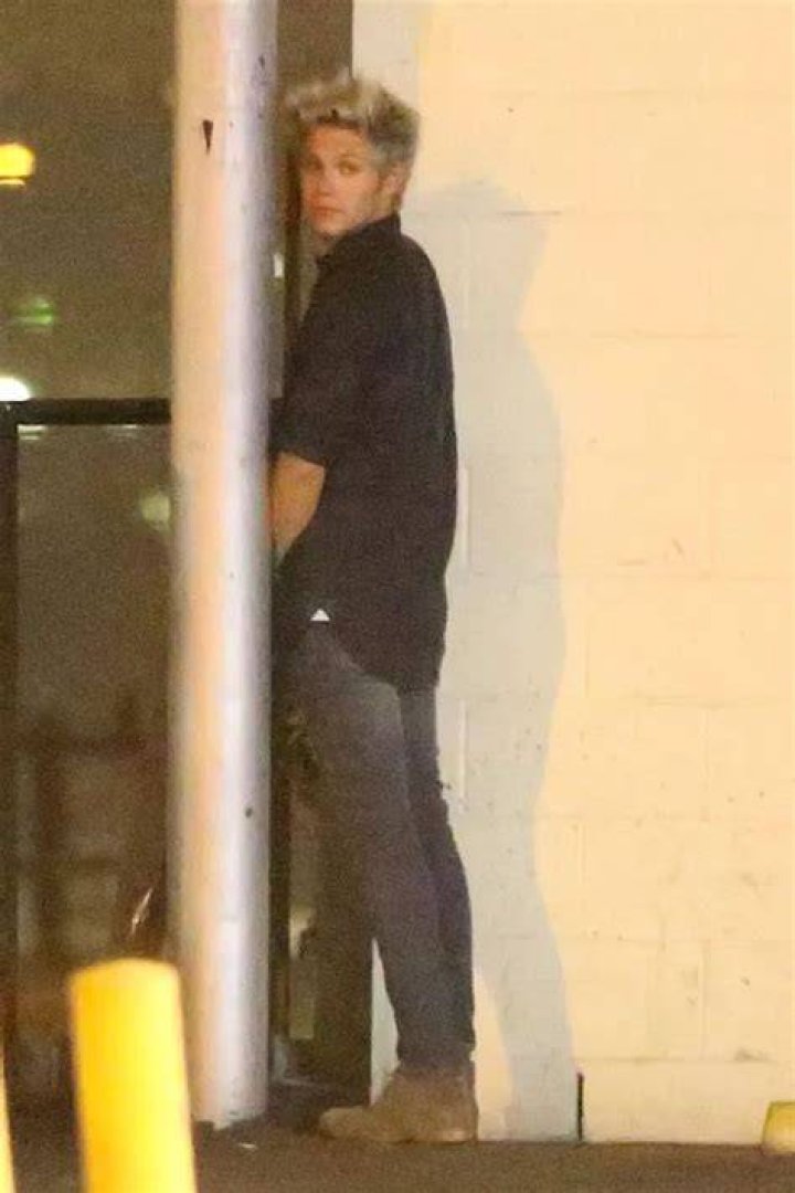 Niall Horan Caught Peeing