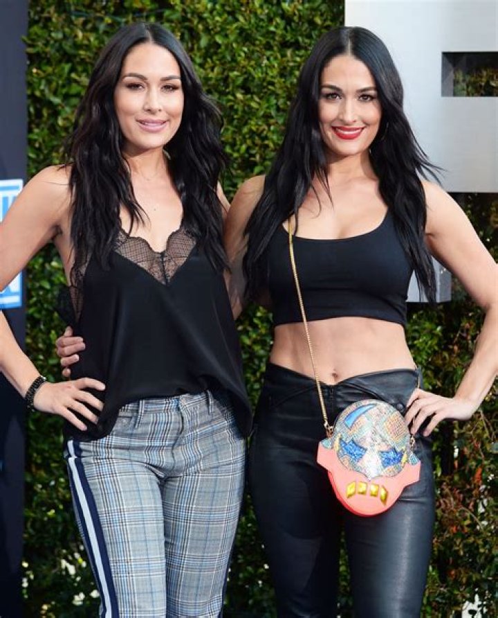 nikki brie bella