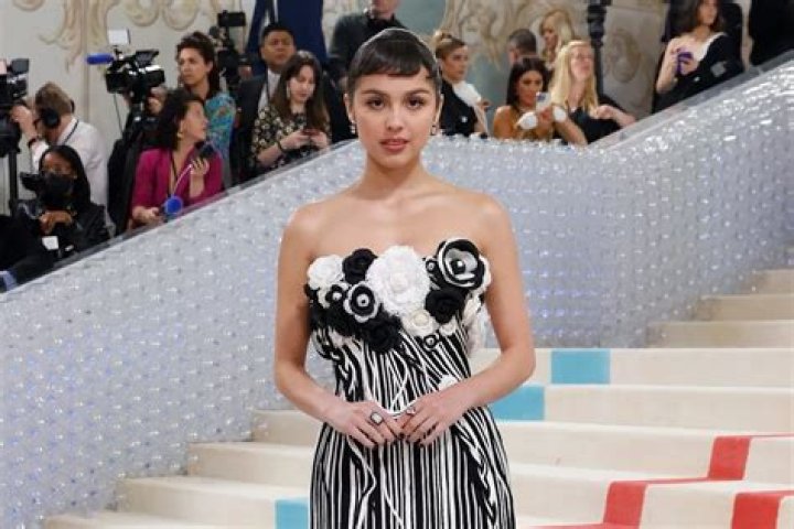 Olivia CulpoBaby2Baby Gala, Arrivals, Los Angeles, USA - 10 Nov 2018