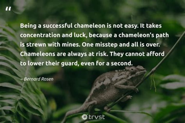 On Being A Chameleon