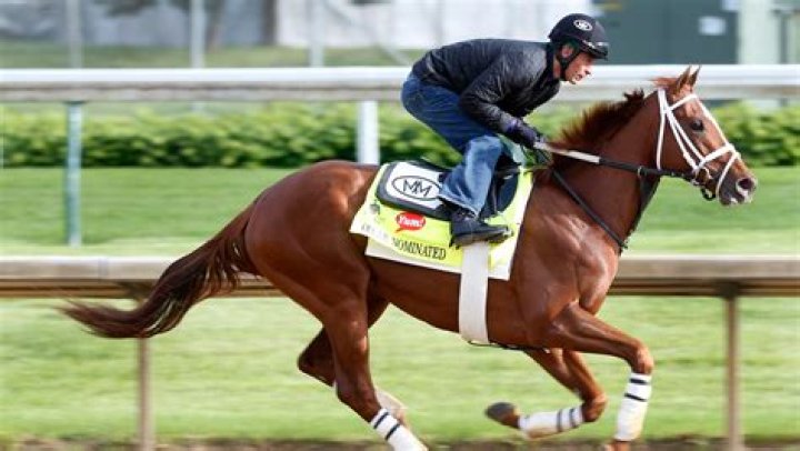 Oscar-Nominated-kentucky-derby