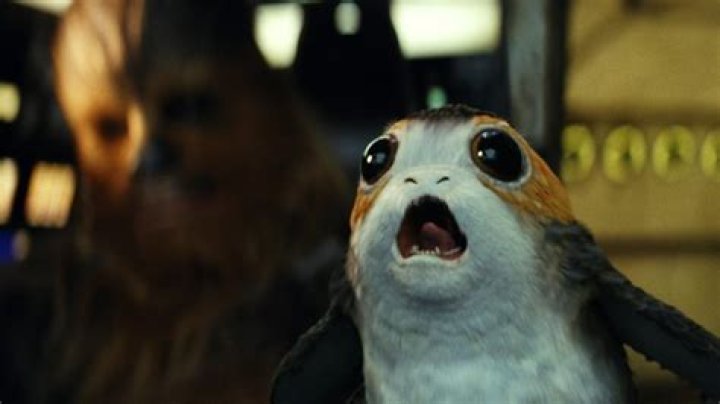 Porg