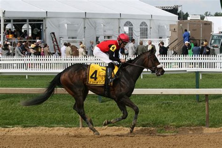preakness-race-10