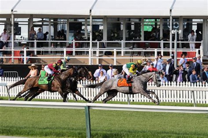 preakness-race-12
