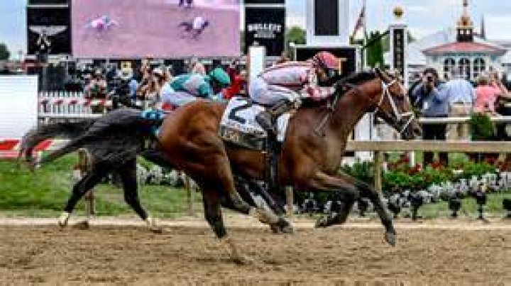 preakness-race-2