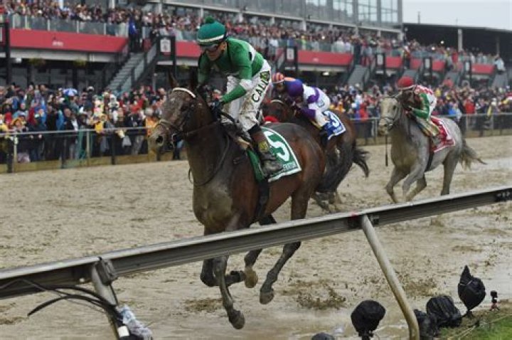 preakness-stakes-2016