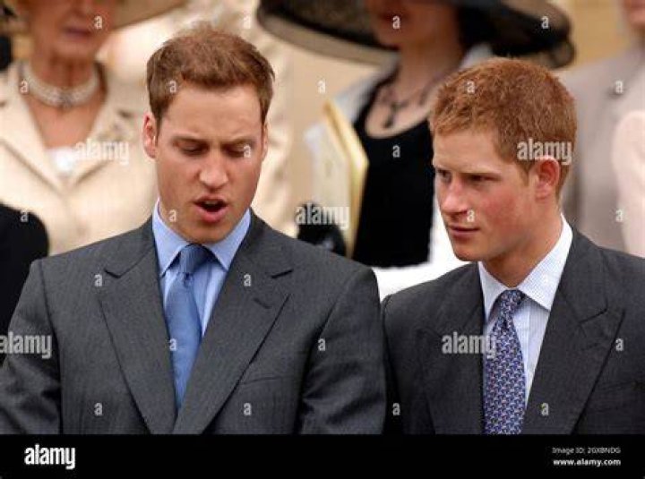 Prince William & Prince Harry Attend A World Mental Health Day Event