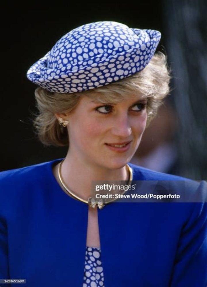 Princess Diana In Blue