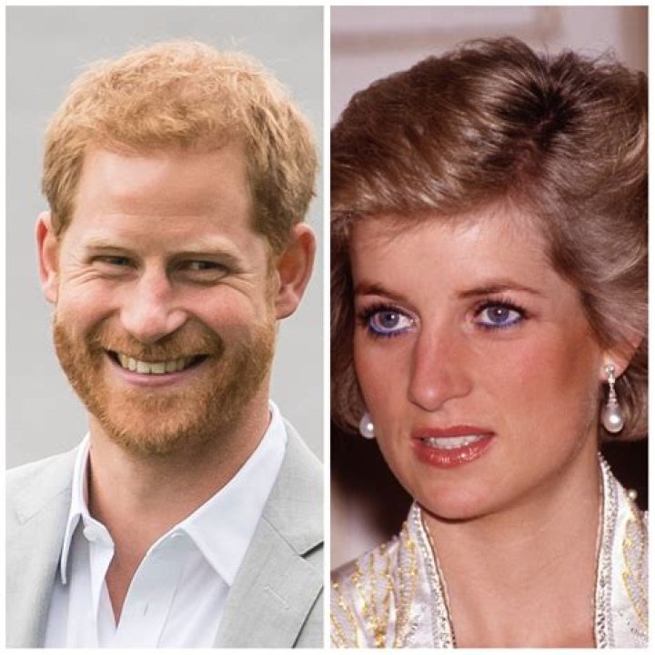 Princess Diana with Prince Harry and Prince William