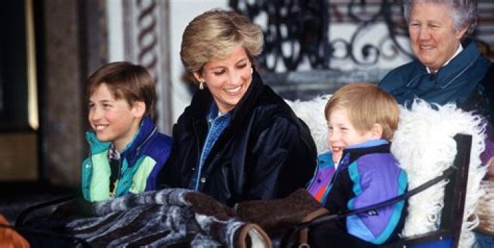 Princess Diana With Prince William & Prince Harry