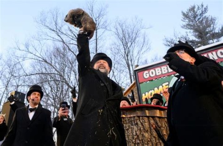 Punxsutawney Phil After Making His Prediction