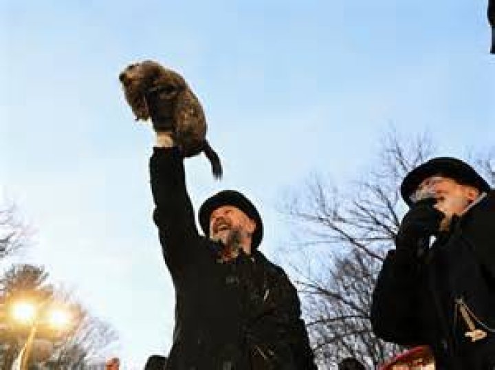 Punxsutawney Phil During Groundhog Day 2017