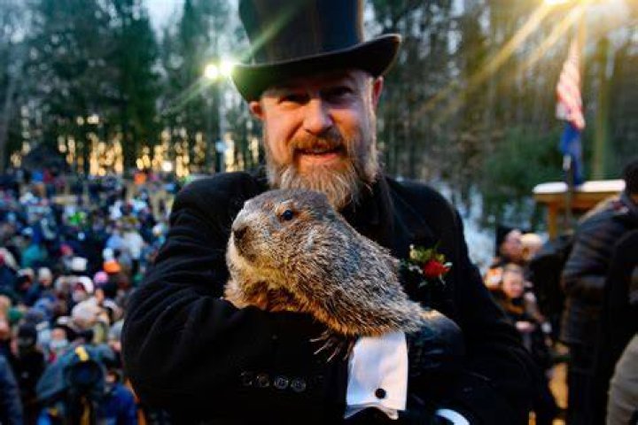 Punxsutawney Phil in 2022