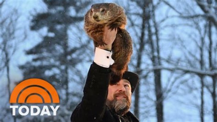 Punxsutawney Phil Makes His 2023 Prediction