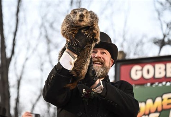 Punxsutawney Phil On Groundhog Day 2022