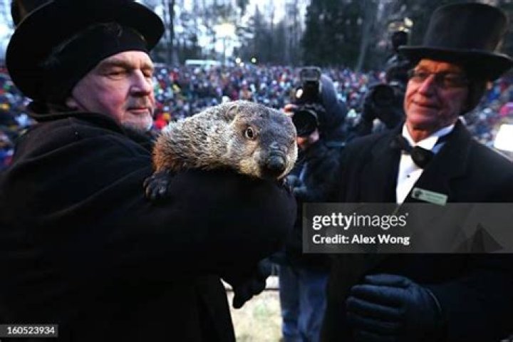 Punxsutawney Phil With Handler Ron Ploucha