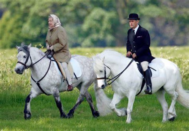 Queen Elizabeth II In Equestrian Attire