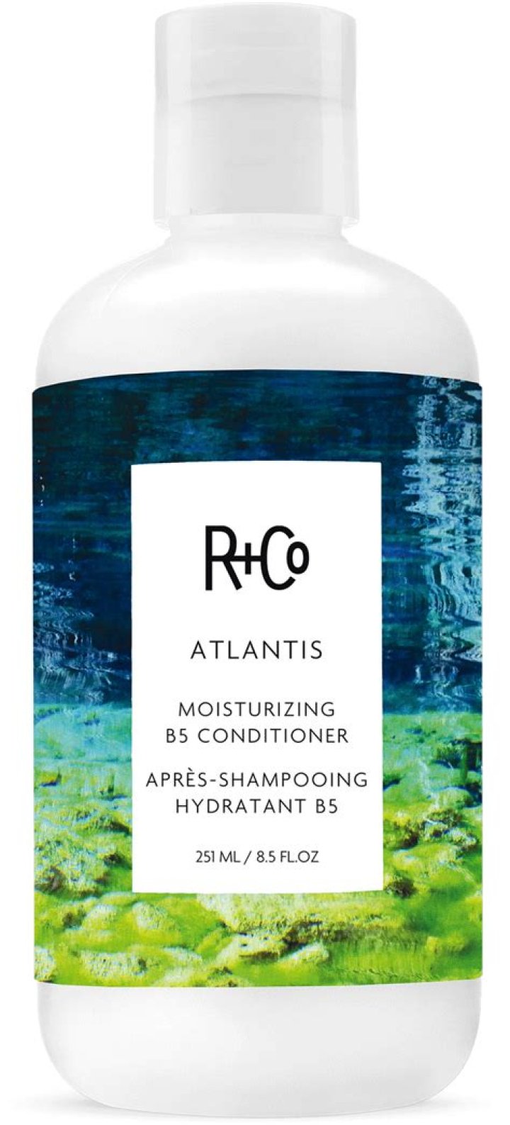 R+Co ATLANTIS Moisturizing B5 Shampoo, $14, bluemercury.com