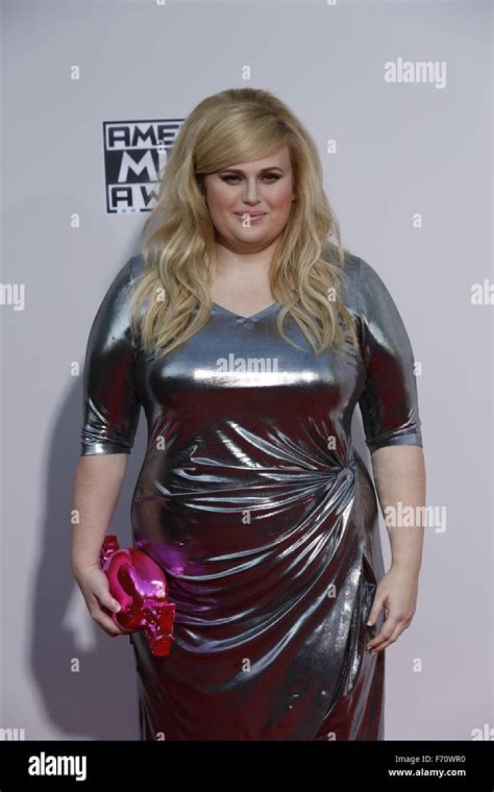 rebel-wilson-amas-2015-american-music-awards