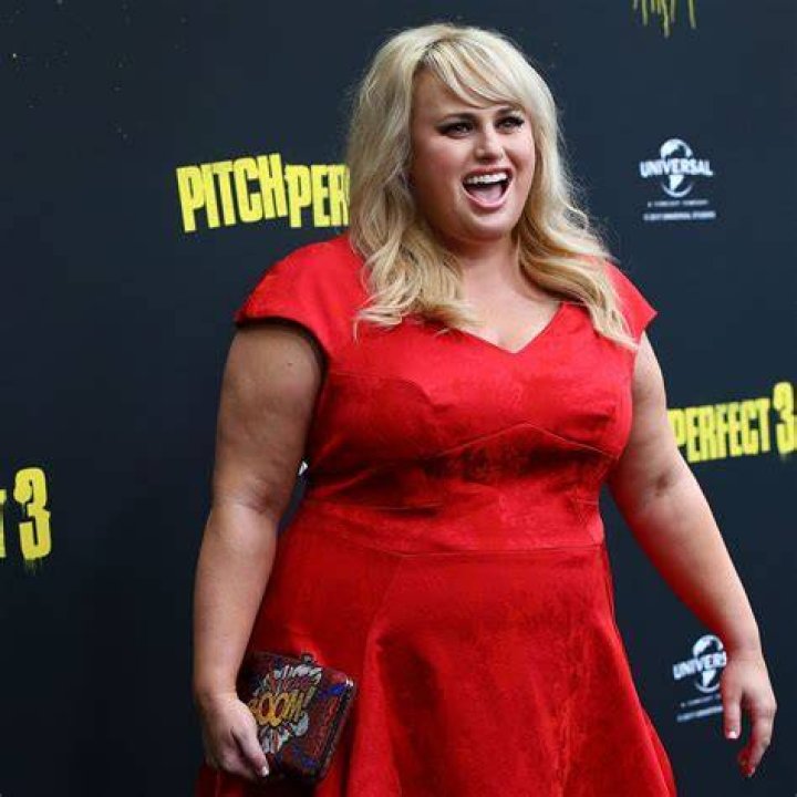 Rebel Wilson at the &lsquo;Pitch Perfect&rsquo; Premiere In 2012