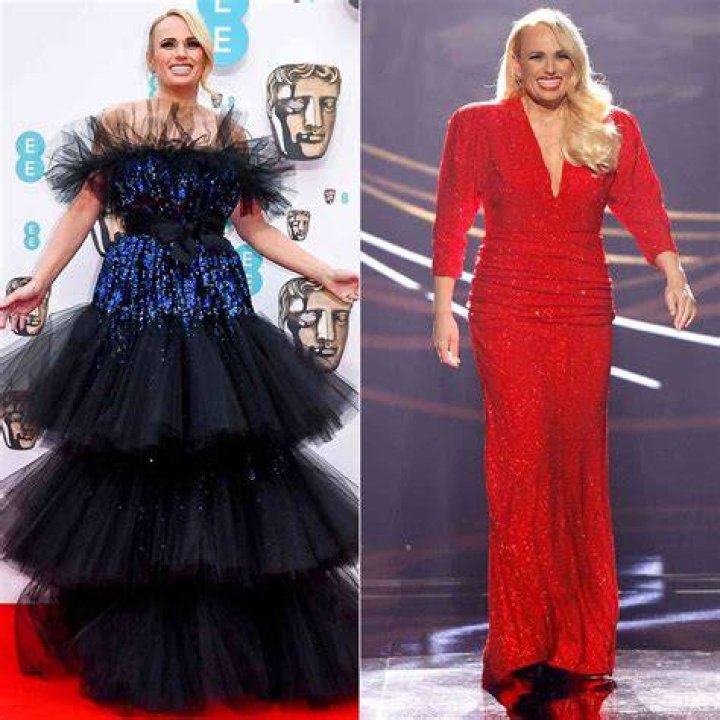 Rebel Wilson Sizzling In Sequins