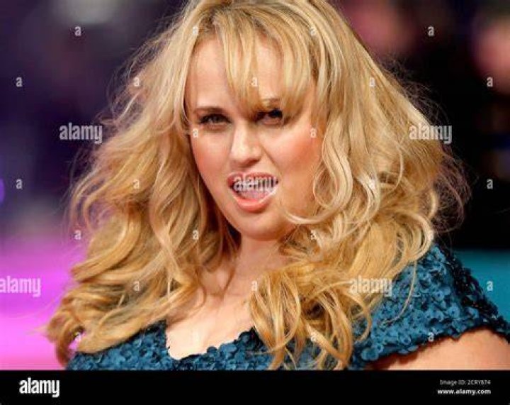Rebel Wilson 'Bridesmaids' film premiere, Los Angeles, America - 28 Apr 2011