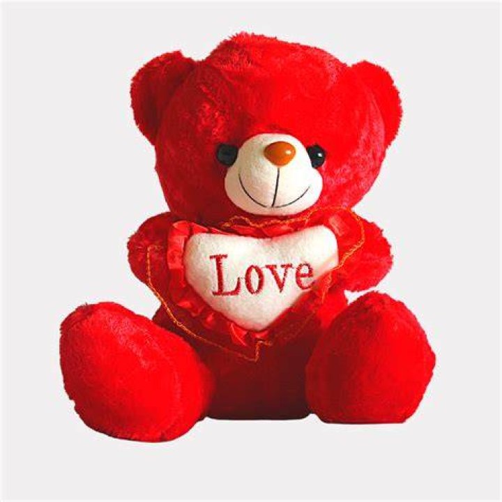 Red Teddy Bear Jacket &ndash; $59.99, TJ Maxx