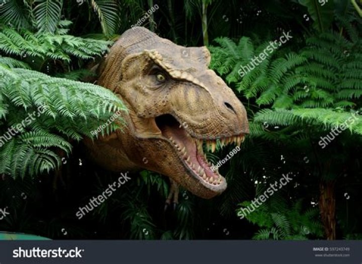 REX/Shutterstock