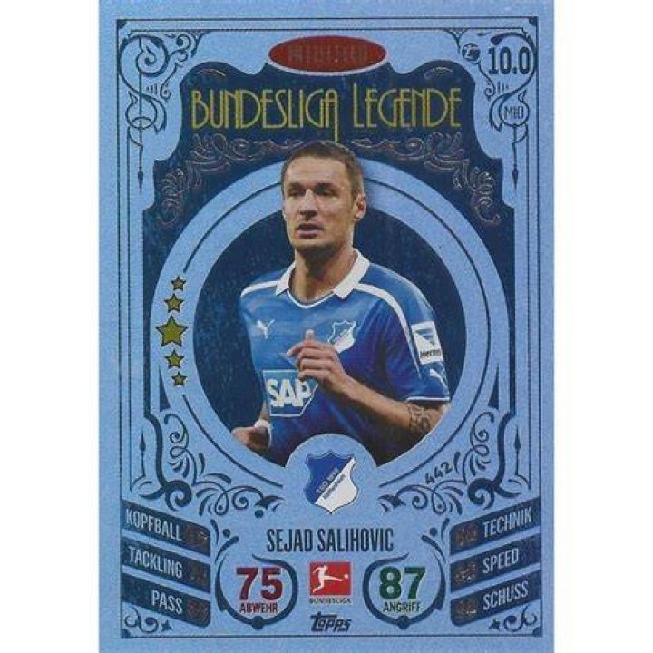 Sejad-Salihović-21