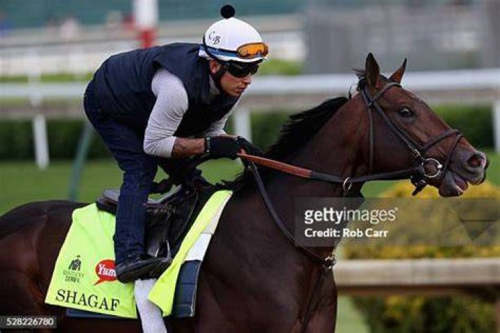 Shagaf-kentucky-derby