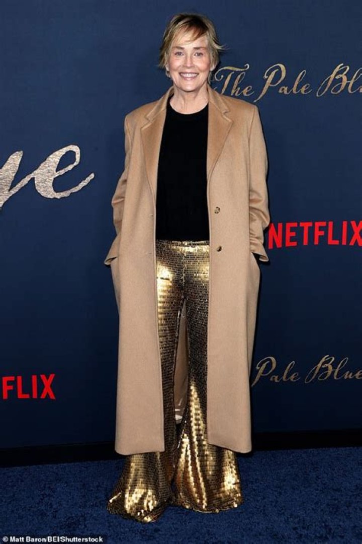 Sharon Stone Looks Beautiful In Black