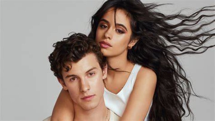 shawn mendes and camila cabello