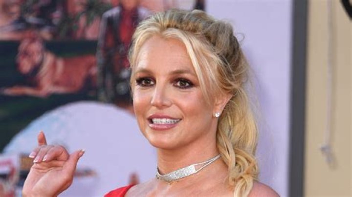 Singer Britney Spears spends the day at Will Rodgers State Beach in Pacific Palisades, Ca with an unidentified male friend. the pop princess who was taking a break form her current US and European tour had fun as she frolicked along the beach and rode piggyback on her friends back and played with a dog that was strolling along the beach. britney and her friend then stopped to pick up some drinks at a local store before heading back to the Beverly Hills hotel where she is staying before her tour resumes on monday Britney Spears spends day at the beach, Pacific Palisades, California, USA - 23 Apr 2004