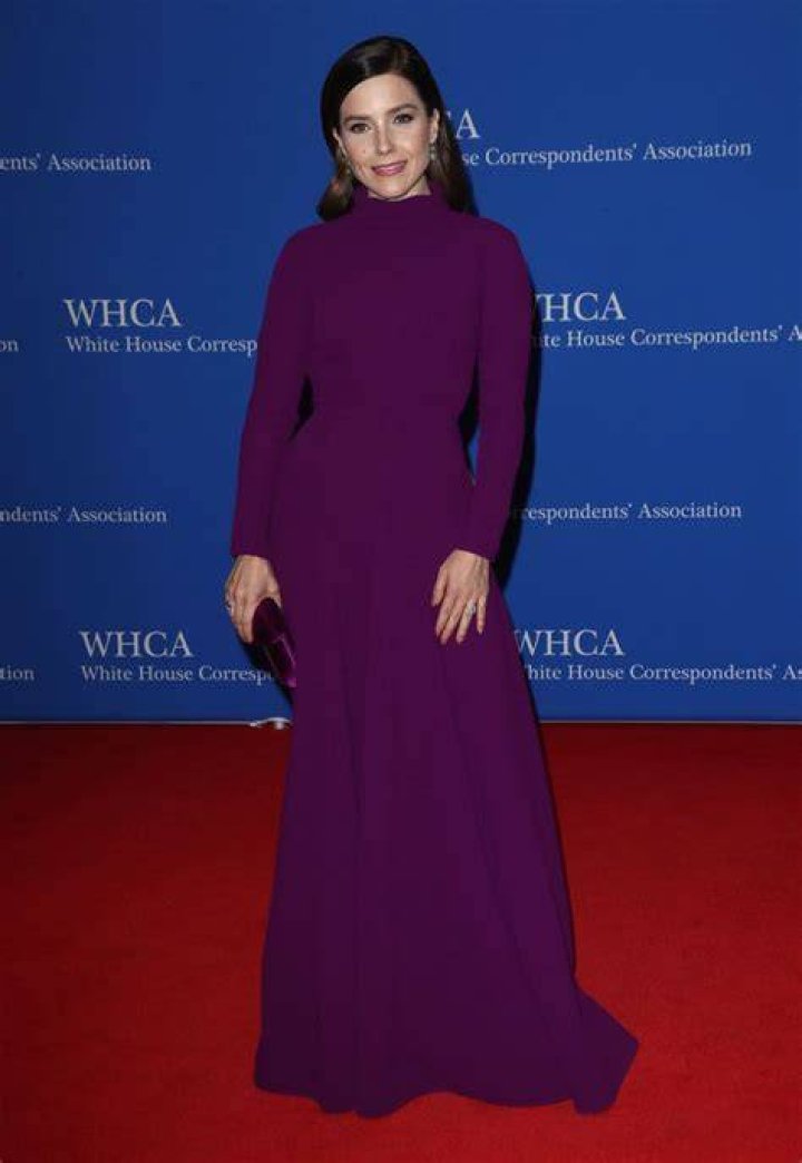 Sophia Bush Rocks Purple Gown For White House Correspondents&rsquo; Dinner