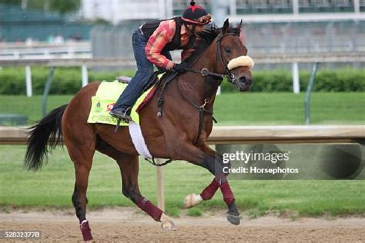Suddenbreakingnews-kentucky-derby