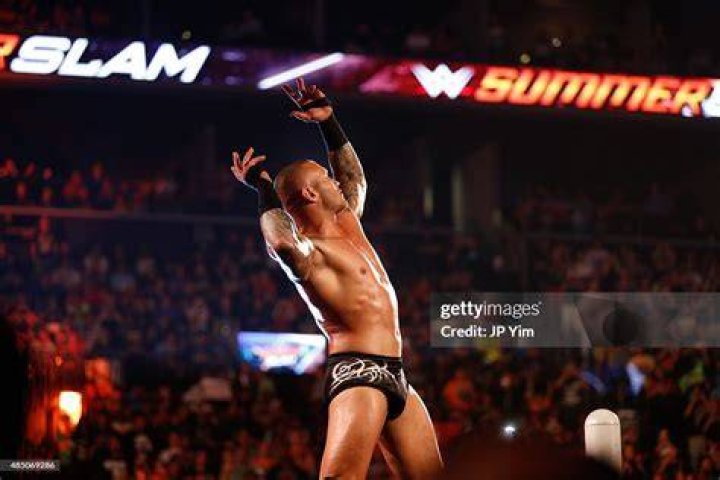 summerslam-2015-7